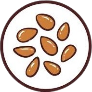 Allergie au sesame