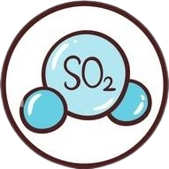 Allergie au sulfite